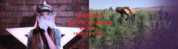 PSILOCYBIN Михайлов