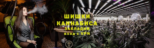 PSILOCYBIN Михайлов
