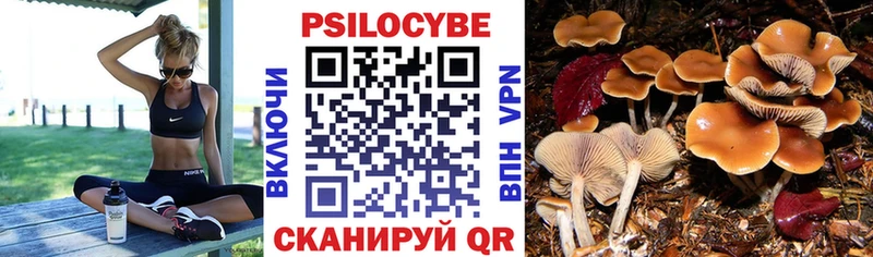 как найти наркотики  Новокузнецк  Псилоцибиновые грибы MAGIC MUSHROOMS 
